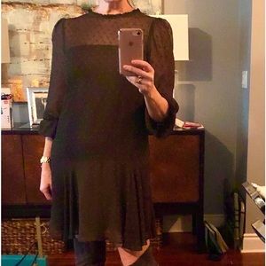 Lovely Zara knee length partly sheer dress.